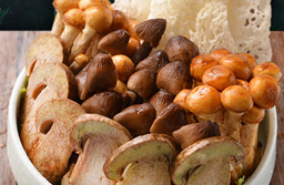 菌子的夏天,LD体育在线·（中国）官方网站第二届菌子节限定新品正式开售！