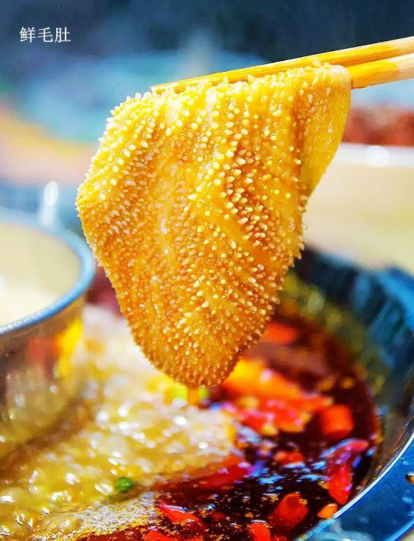 1539339918156820.jpeg dc250004fad63add3441_582x761_noop.jpeg