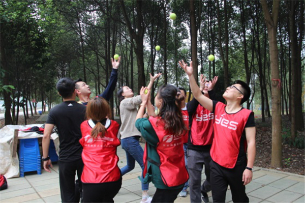 1540990114363176.jpg 图片11.jpg